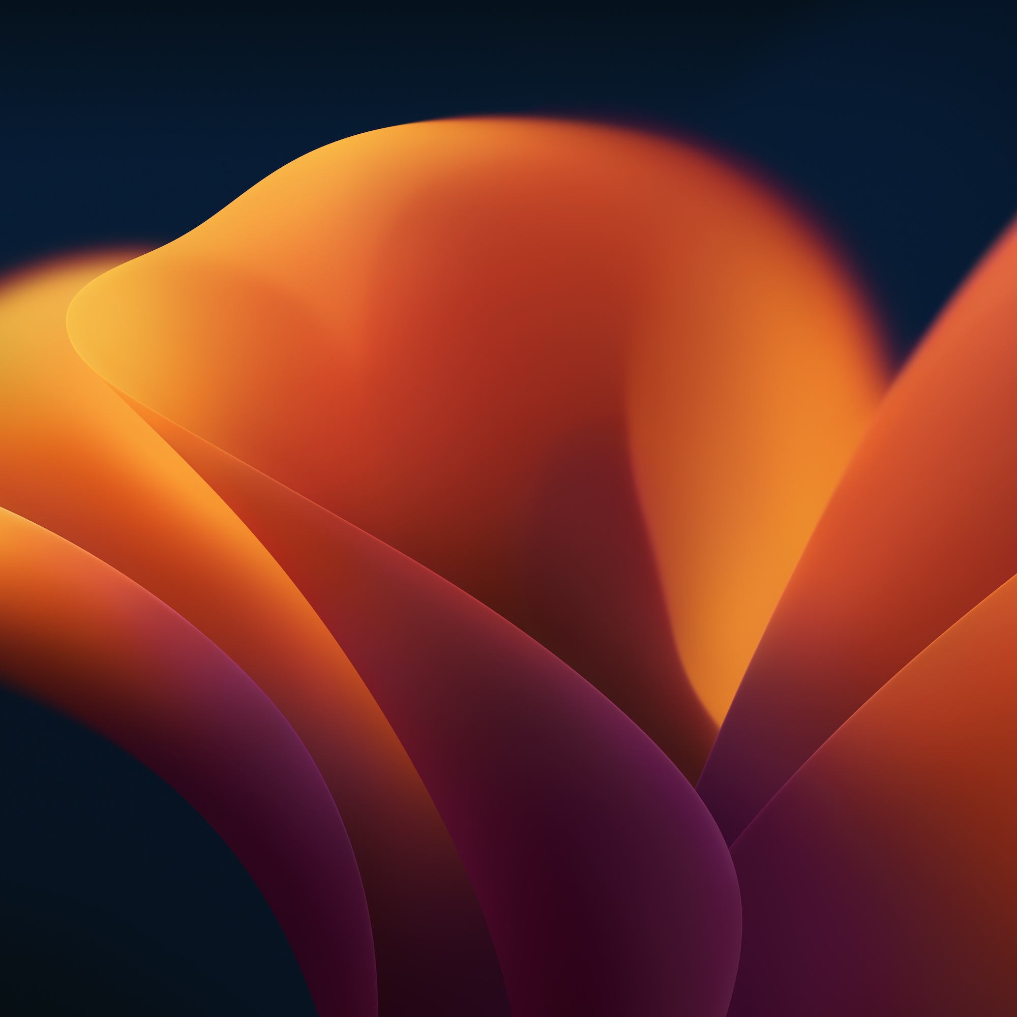Colorful aurora lesson background